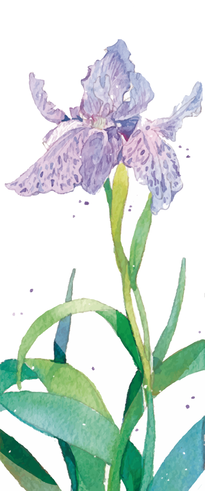 Purple Watercolor Painting Flower - Purple Watercolor Painting Flower (700x1676)