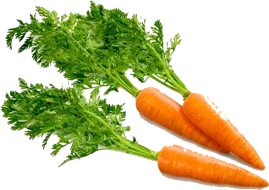 Carrot Png Image - Carrot Png (400x400)