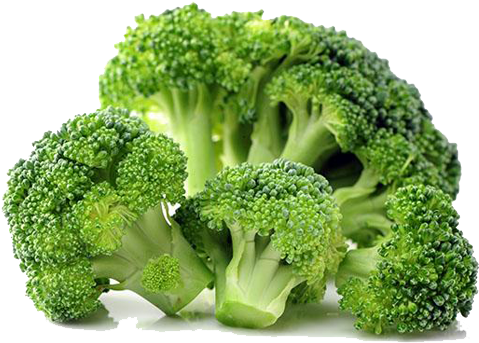 Broccoli Transparent Png Image - Broccoli Png (500x460)