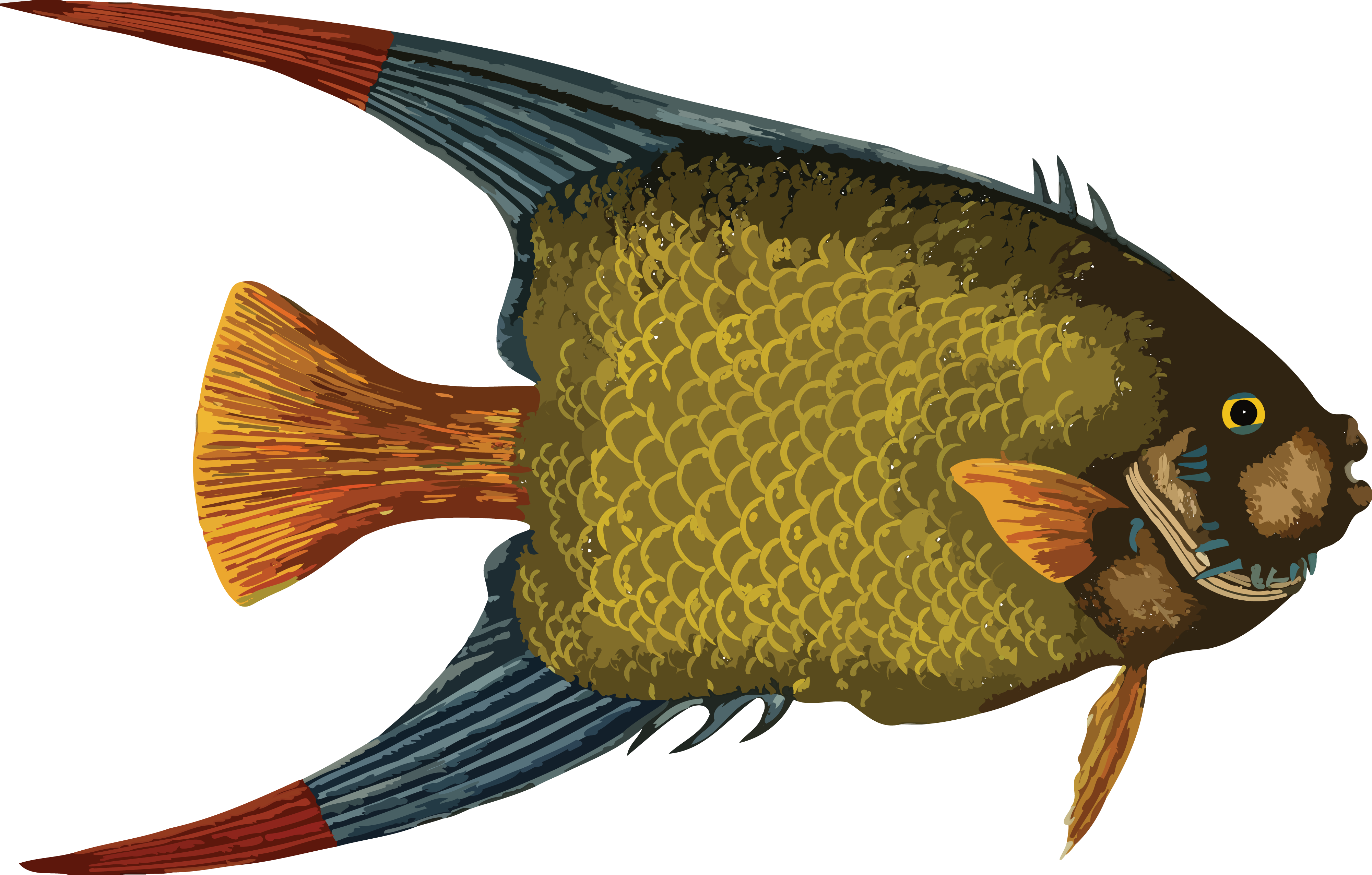 Fish - Sea Fish Fish Png (4000x2552)