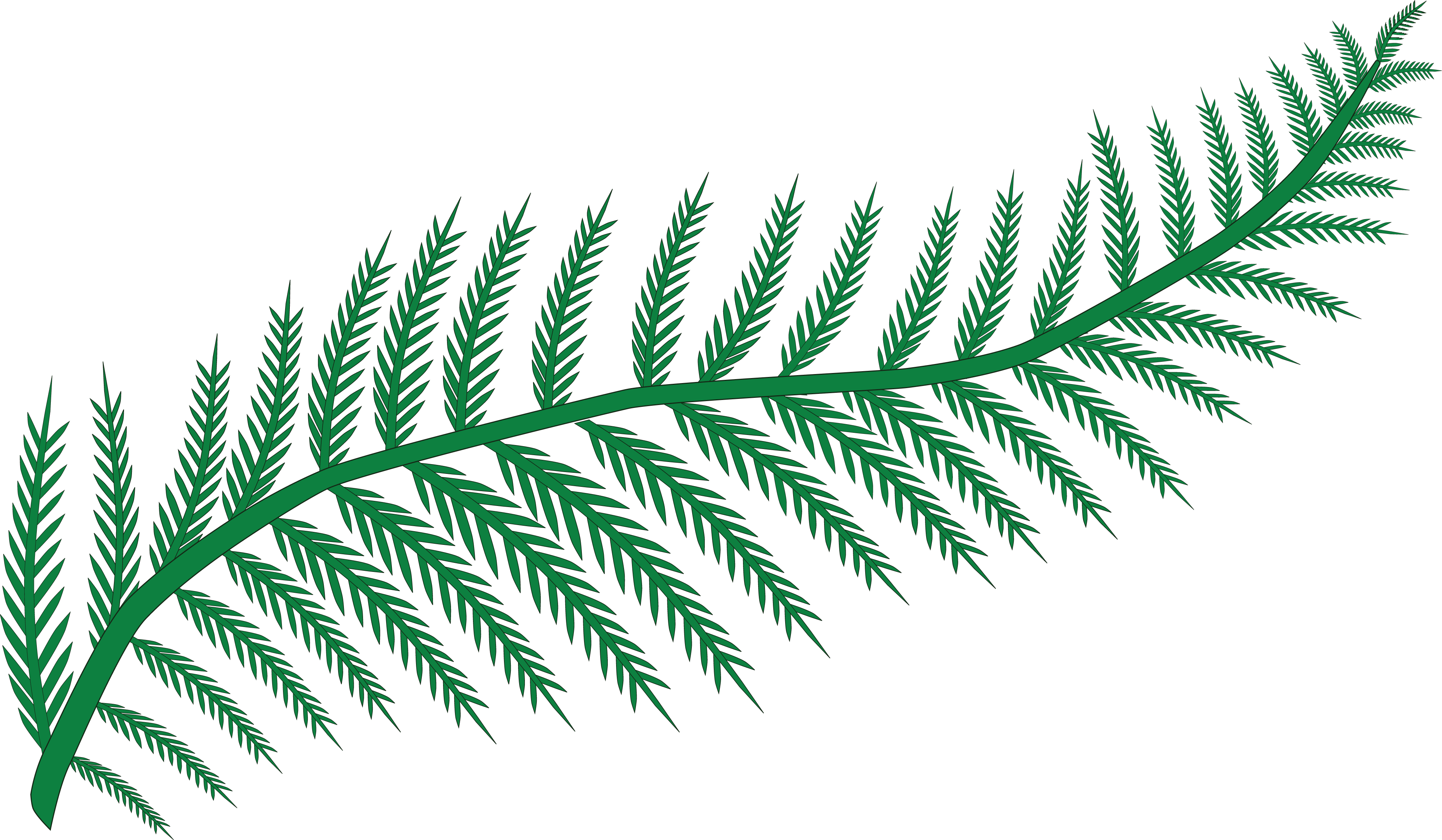Free Clipart Of A Fern - Clip Art Fern (4000x2331)