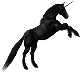 Unicorn Head Clipart Black And White - Clip Art (500x315)