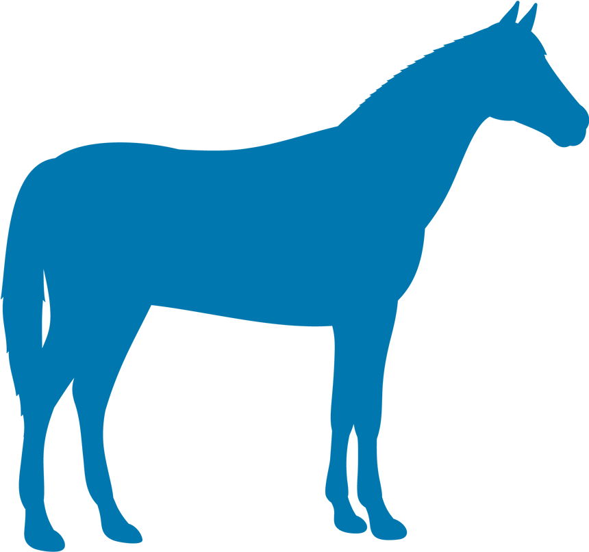 Horseicon - Animal Silhouettes White And Black Farm (1027x816)