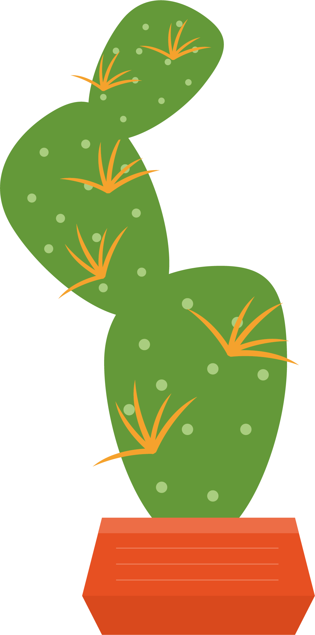 Euclidean Vector Cactaceae Illustration - Euclidean Vector Cactaceae Illustration (1089x2191)