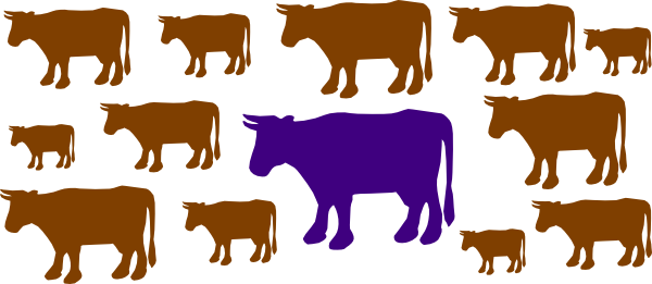 Purple Cow Clip Art At Clker - Cattle (600x261)