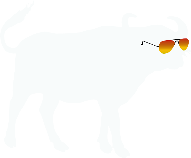 Summer Buffalo Burbank (685x595)