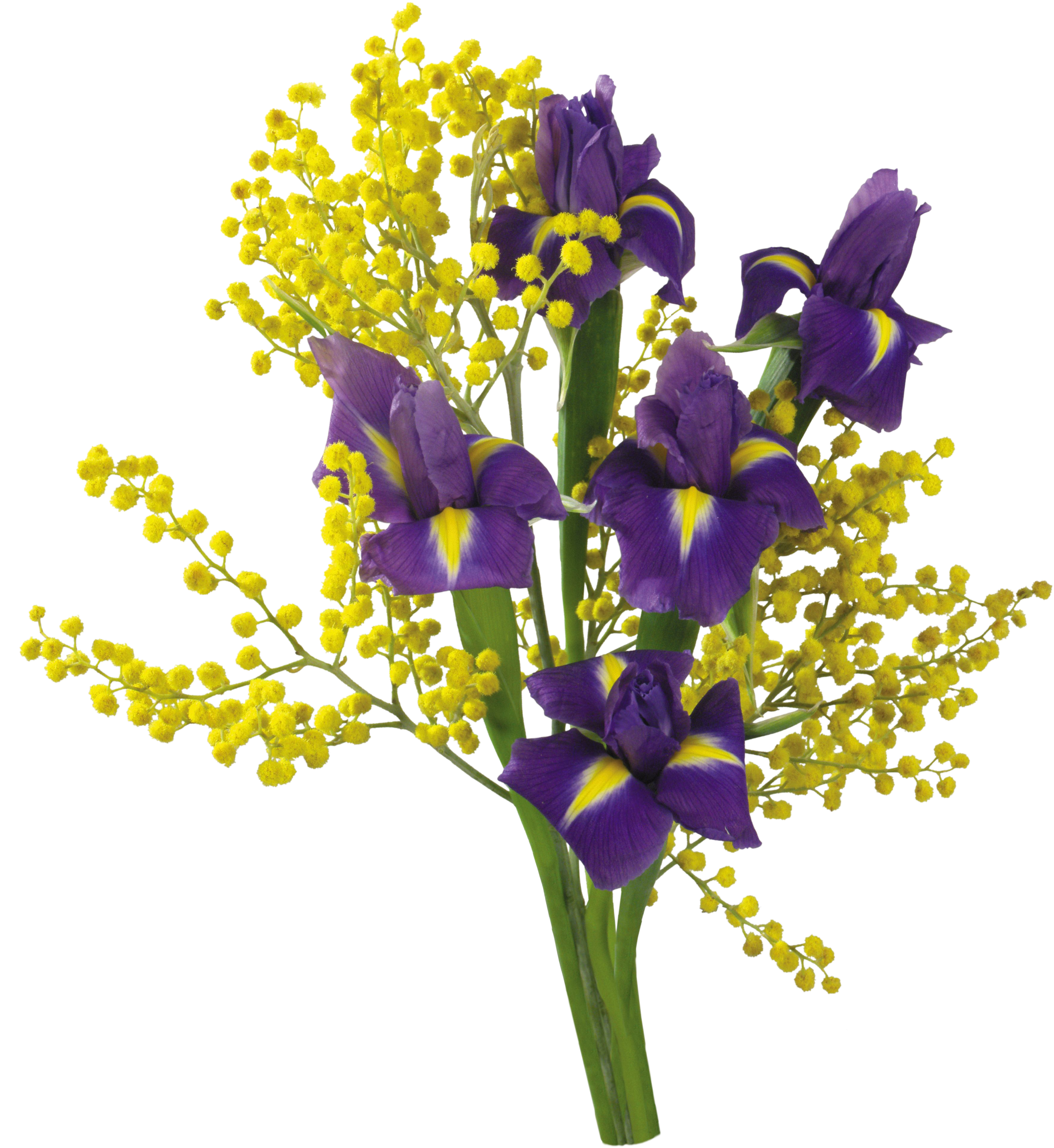 Flower Bouquet Desktop Wallpaper Cut Flowers Computer - Flower Bouquet Desktop Wallpaper Cut Flowers Computer (3676x4007)