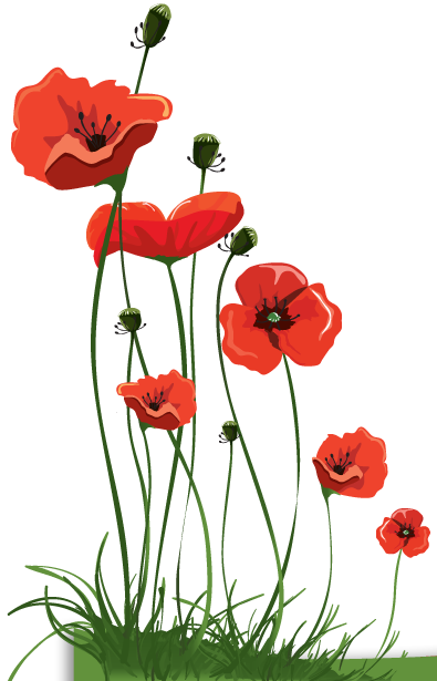 Undercover Of Lightness - Anzac Day Poppies (395x615)