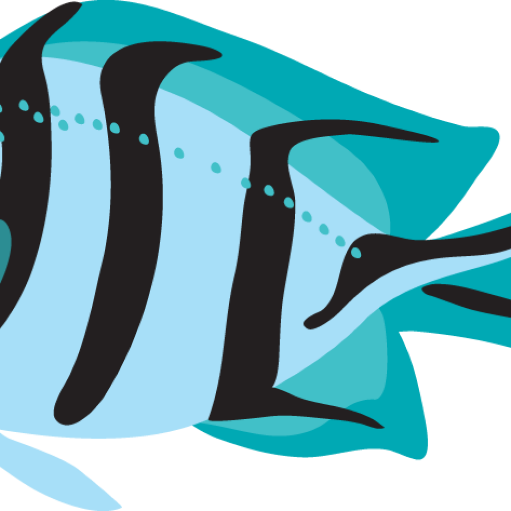Fish Clipart Ocean With Fish Clipart Ocean Fish Clip - Fish Clipart Transparent Background (1024x1024)