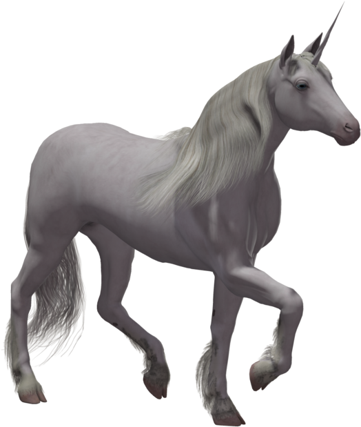 Unicorn No Background Png (1024x645)