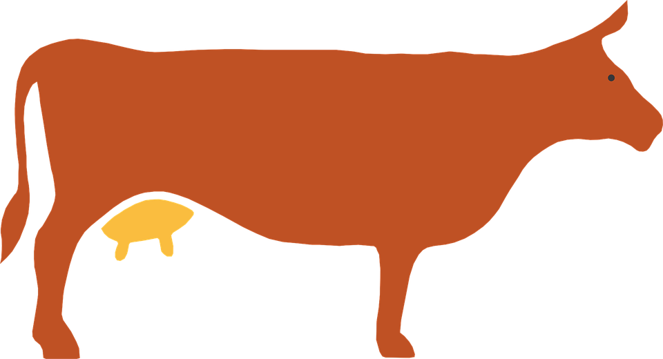 Cow Silhouette (960x520)
