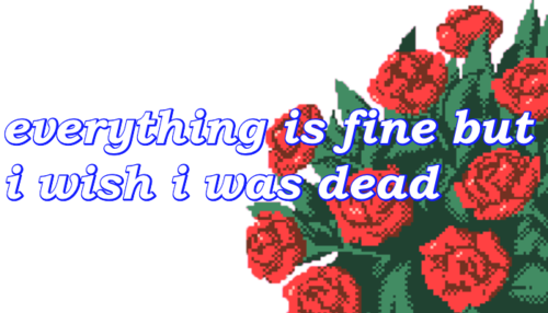 3119 D989 - Dead Rose Wallpaper Aesthetic (500x286)