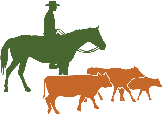 Arizona Beef Council (600x600)