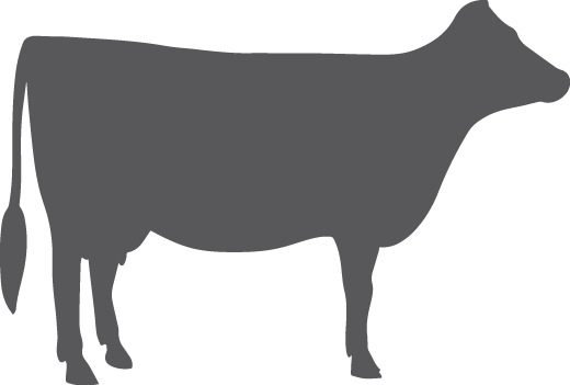 Dairy - Silhouette Of Dairy Cow (520x351)