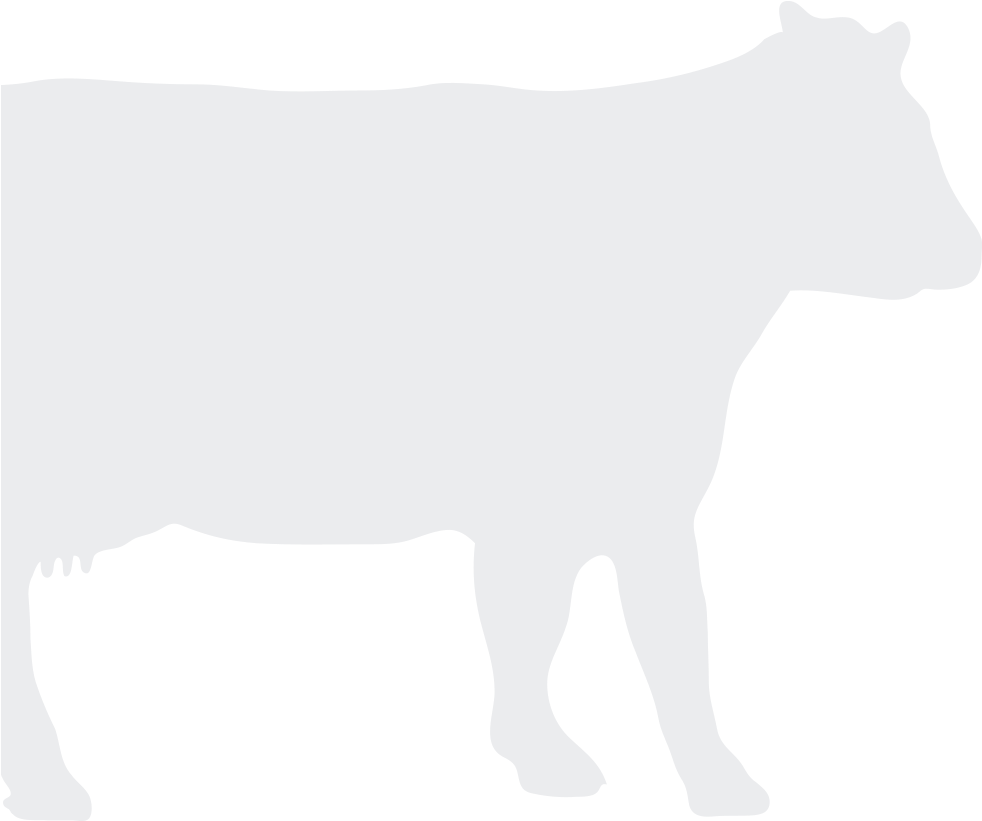 Cow Silhouette - Rund Pictogram (1000x1143)