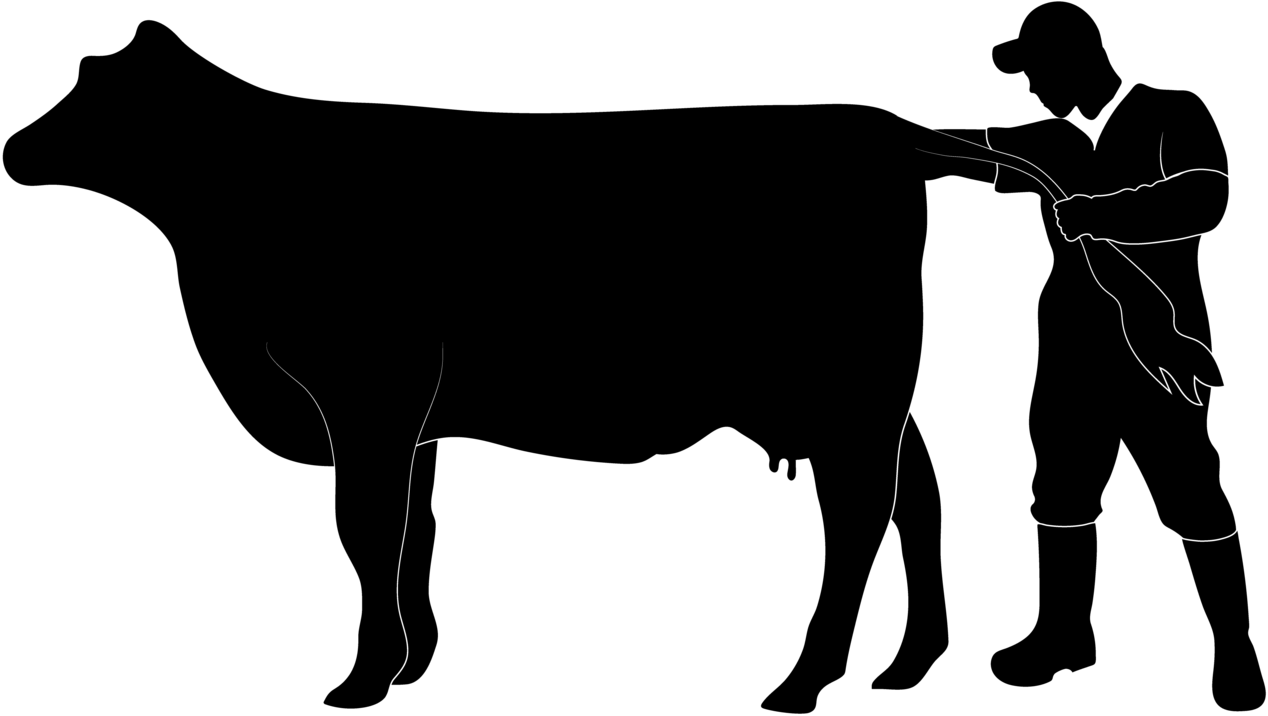 Cody Creelman, Cow Vet - Cody Creelman Cow Vet (1340x782)