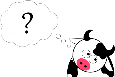 Confused Cow - Confused Cow Animated (482x269)