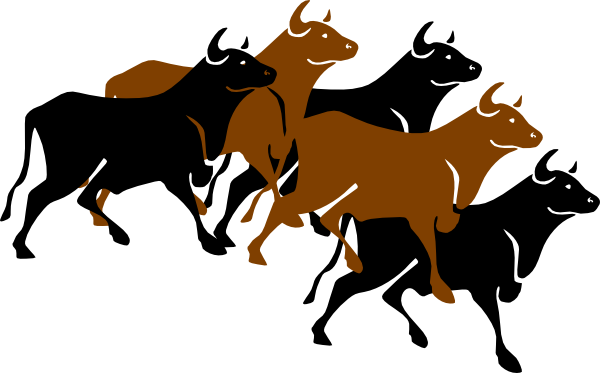 Longhorn Cattle Clipart Stampede - Running Of The Bulls Clipart (600x373)