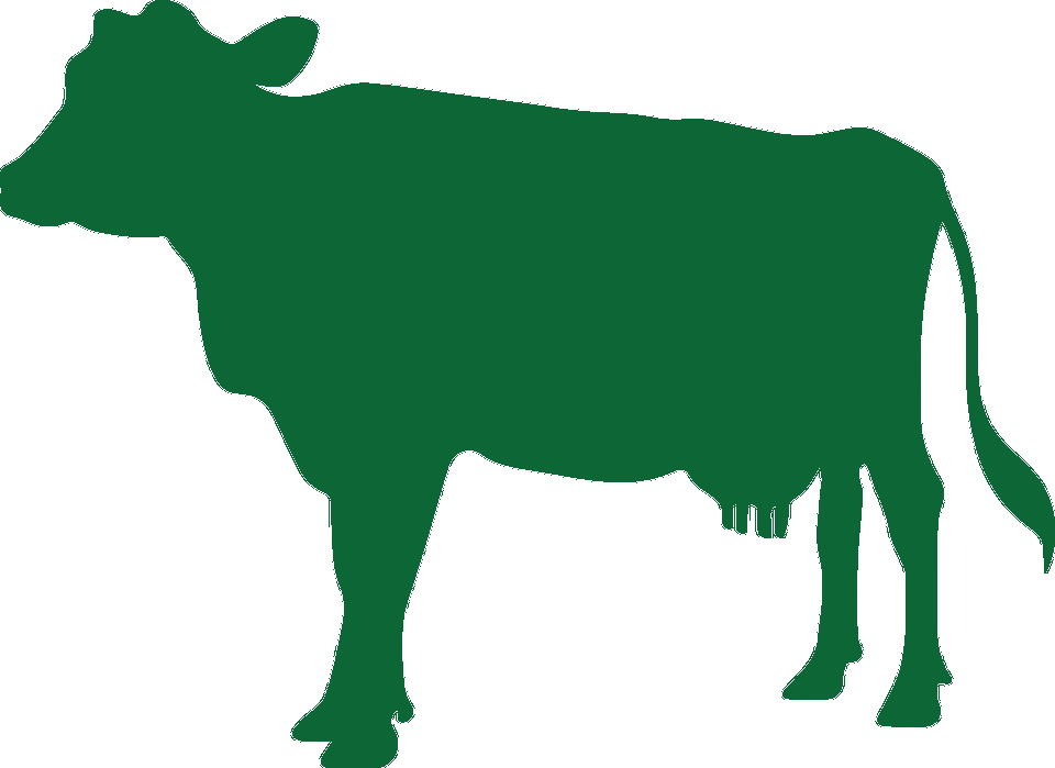 Join The Artex Family - Parler Comme Une Vache Espagnole (960x699)