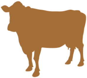 Brown Cow Silhouette (600x315)