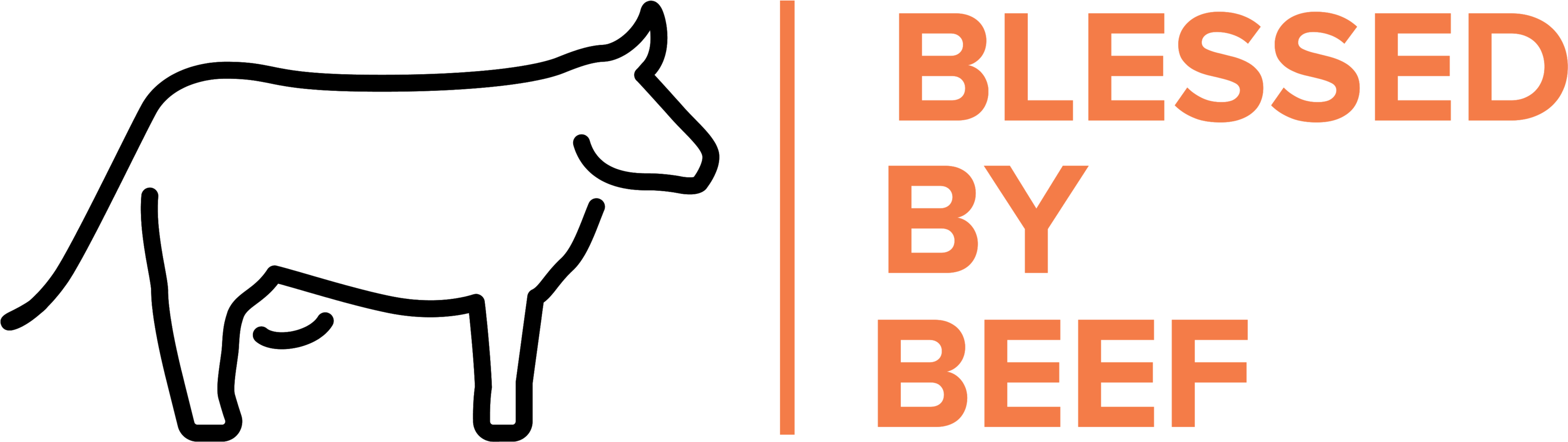 Customer Obsessed (3400x1245)