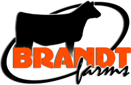 Nestled In The Rolling Hills Of Southwest Iowa, Raising - Brandt Farm (447x319)