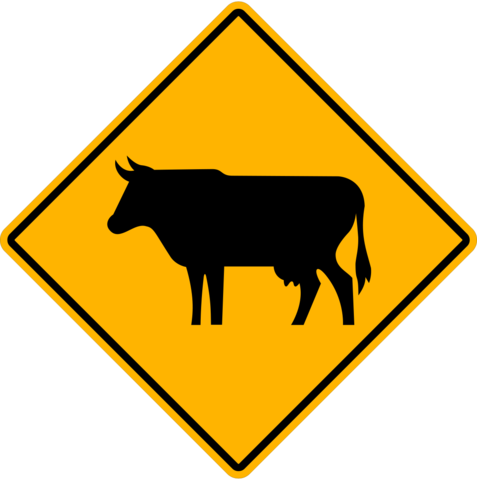 Wc-15 Cow Graphic - Road Sign With Car (477x480)