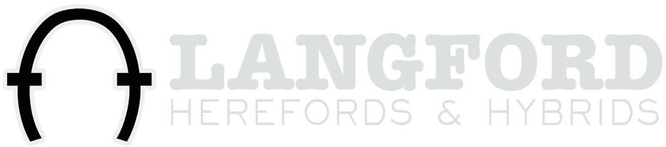 Langford Herefords - Hereford Cattle (933x207)