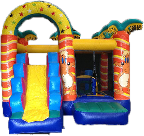 Tropical Slide Bouncy Castle Hire - Inflatable Castle (700x500)