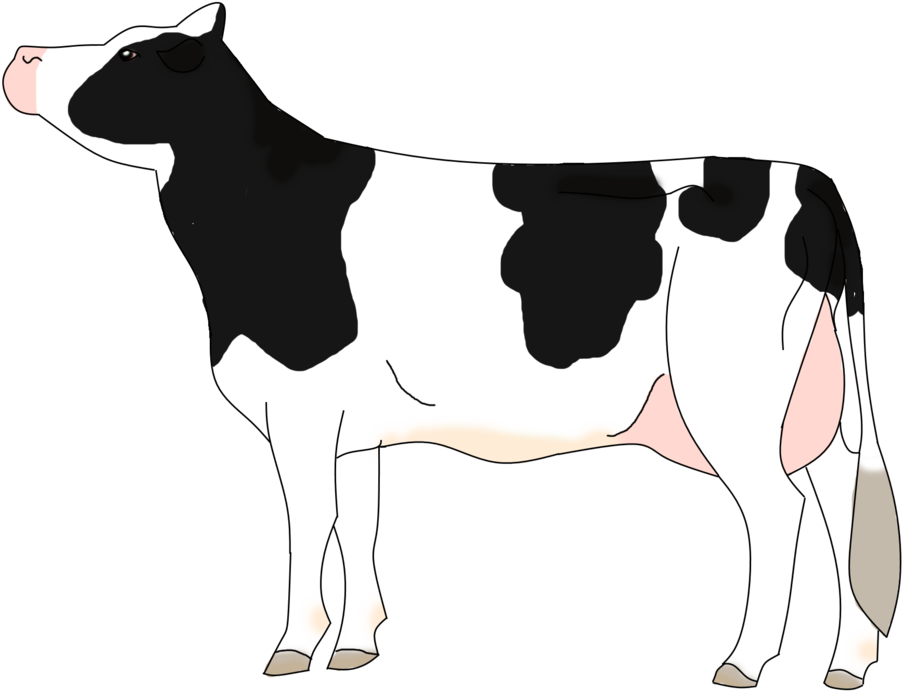 Holstein Cow By Kyumbha - Cattle (1024x749)
