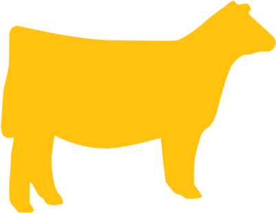 Breeder's Cup & Sponsors - 4 The Cause (600x600)