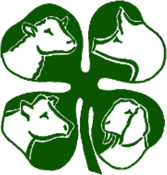 Montgomery County 4-h Livestock Show - 4 H Clover With Animals (625x648)