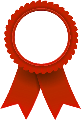 Png Award Ribbon *2* By Nhikute1411 - Award Ribbon Png (280x429)