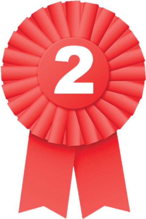 Click To See 2nd Quarter Award Winners - Best In Show Ribbon (500x725)