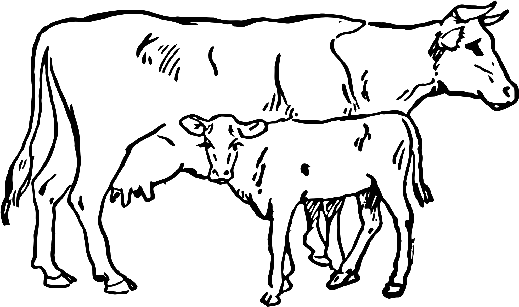 Open - Cow Clipart Black And White (2000x1186)
