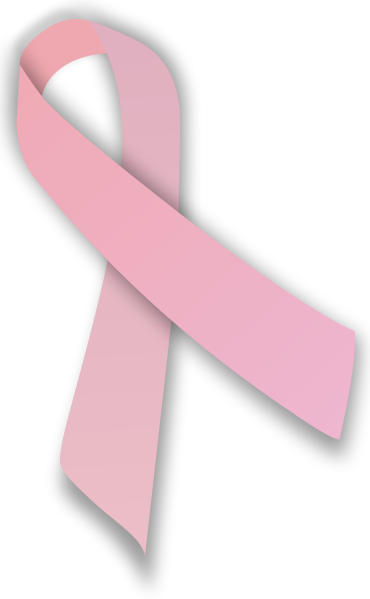 The Number Of Breast Cancer Survivors Has Risen Over - Pink Ribbon Png (370x599)
