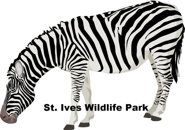 Free Image On Pixabay - Zebra Png (637x447)