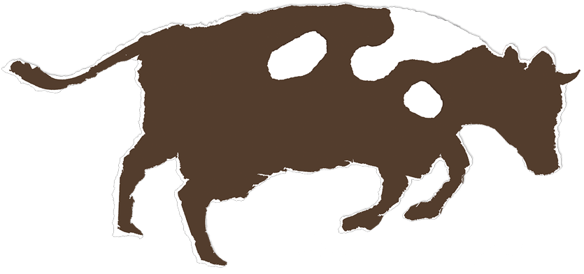 Initially, It's A Bit Bewildering To Come Across A - Ox (912x420)