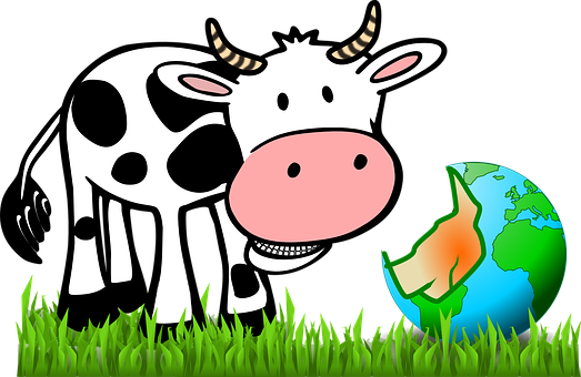Cow Eating Earth World Funny Cartoon Comic - Face All Cows Eat Grass (523x340)
