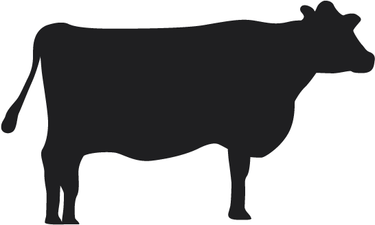 Search Symptoms - Icon Design (600x444)