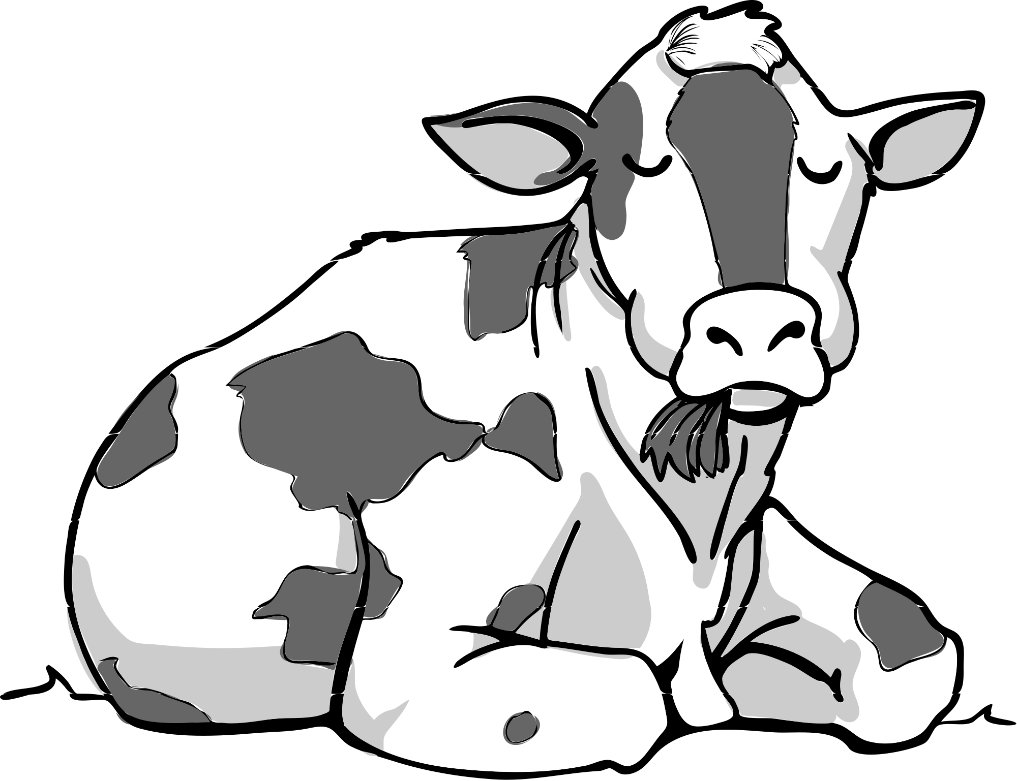 312 × 240 Pixels - Cow Vector (2000x1537)