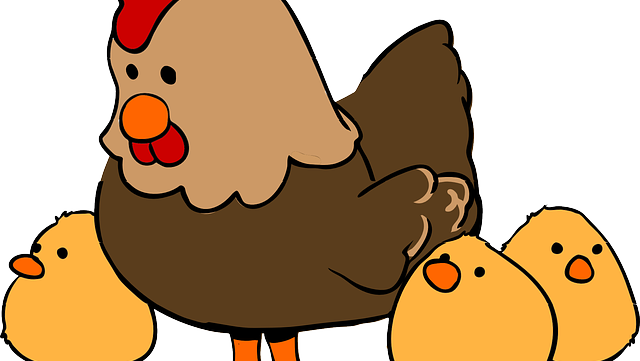 Beef Cattle Clipart - Gallinas Animadas Con Pollitos (640x361)