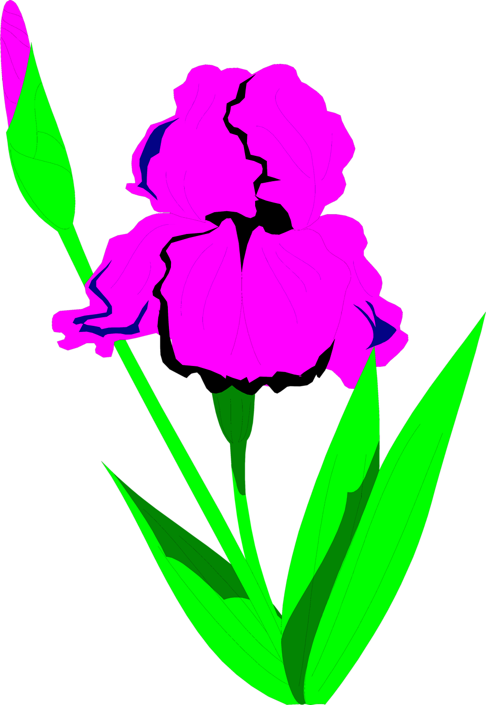 Illustration Of A Purple Iris Flower - Clip Art (958x1389)