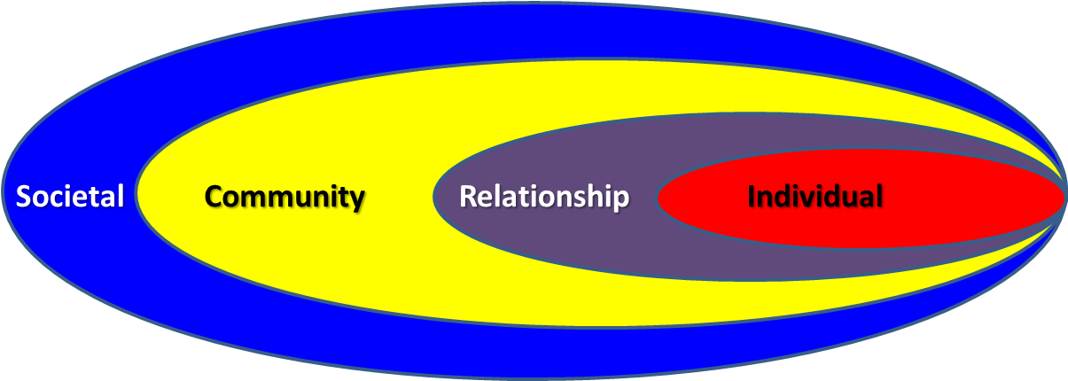 The Ecological Model Offers One View Of The Diverse - Graphic Design (1212x429)