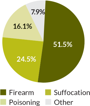 Suicide Method - Suicide Deaths By Method 2016 (330x380)