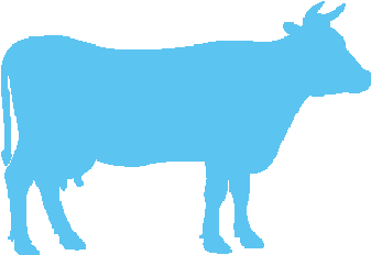Only A2a2 Cows - Beef Silhouette (350x350)