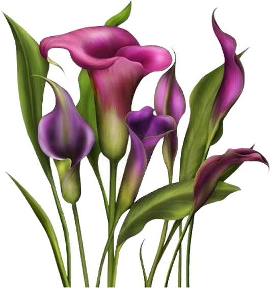 Gfycat Clip Art - Gfycat Clip Art (564x564)