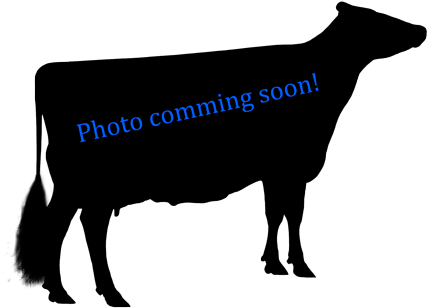 Robthom Nassa R Hero - Livestock (450x321)