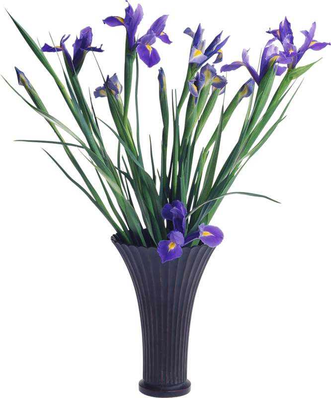 Flower Clip Art - Flower Clip Art (666x800)