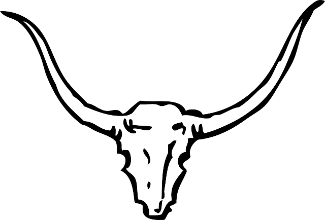 Cartoon Head, Outline, Drawing, Silhouette, Skull, - Bull Horns (640x434)